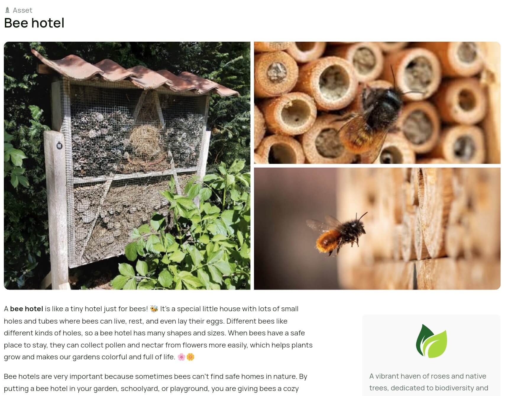 Highlight garden features